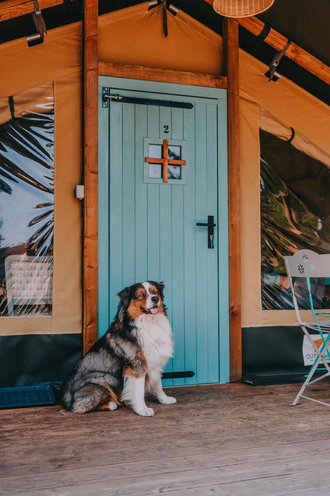 Rendes Glamping Hotell Balatonrendes Exteriör bild